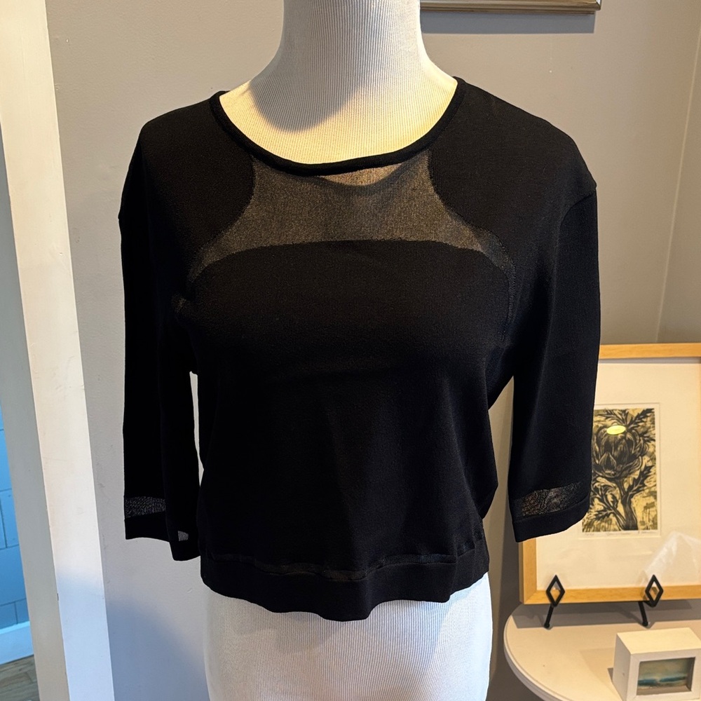 Ohne Titel Black Sheer Crop Top